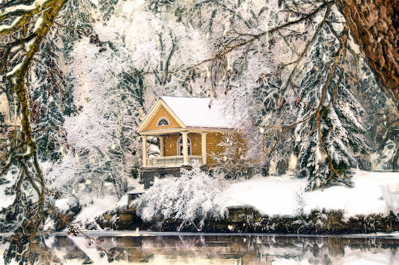 covering, winter, nature, built structure, snowing, architecture, building, outdoors, trunk, no people, frozen, cold temperature, forest, tree, snow, 1080P