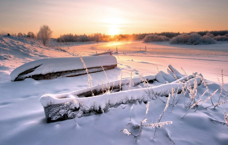 beauty in nature, 720P, ice, icicle, frozen, scenics - nature, cold temperature, cold, covering, sunset, white color, tree, tranquility, tranquil scene