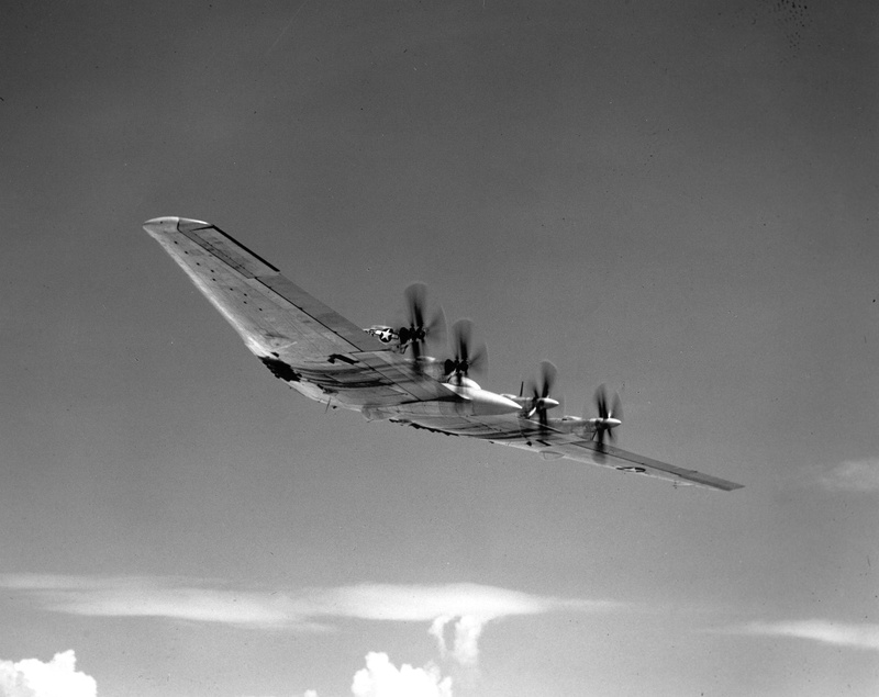 Northrop YB-35, on the move, day, outdoors, animal, photography, nature, animal themes, air vehicle, cloud - sky, mode of transportation, motion, low angle view