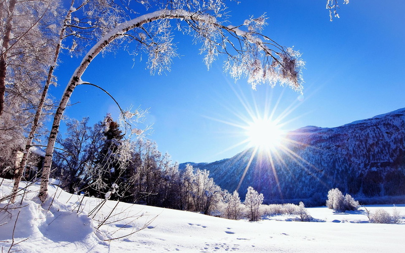 mountain, day, 1080P, nature and landscapes, clear, winter, trees, sharp, crisp