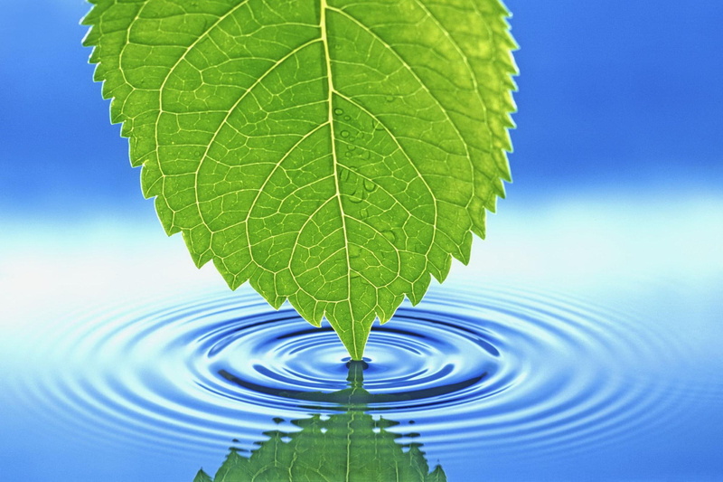 1080P, beautiful, water, blue, cylinder, leaf, circle, touches, peace, 3d and abstract, green, nature