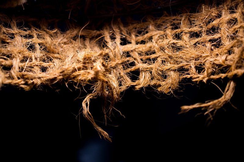 copy space, nature, macro, still life, dark, 4K, no people, complexity, meka, abstract, selective focus, brown, lamp, night, light, closeup, orange color