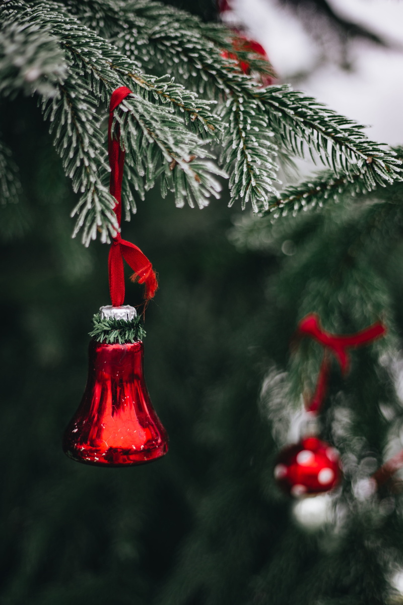 holiday, december, coniferous tree, fashioned, christmas tree, close-up, hanging, celebration event, green color, no people, tree, decoration, Christmas balls