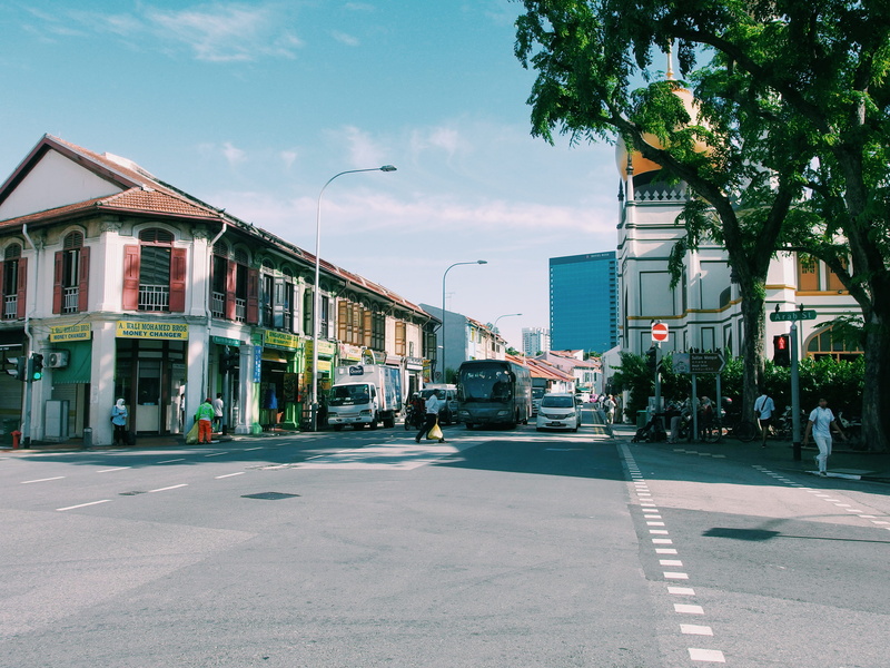 nature, city, 4K, india, singapore, sky, tree, architecture, building exterior, sg, city street, indian, road, incidental people, day, sign