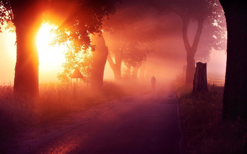 mist, trees, nature, atmosphere, cycling, 1080P, grass, sun rays, sunset, landscape, road