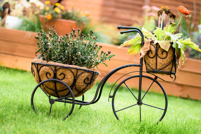 evening, garden, bright, grass, cycling, aquarelle, drawing, summer, flower, watercolor, color, natural, outdoors, plant, growth, gardening, bicycle, basket