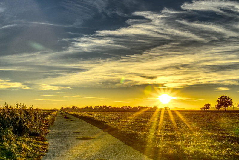 sun, abendstimmung, cloud - sky, contrast, grass, road, sunset, cycle path, growth, the way forward, no people, clouds, light star, field, away, afterglow