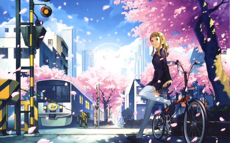 sakura, building exterior, one Person, cycling, young Adult, females, female, transportation, schoolgirl, city, leisure activity, flower, illustration