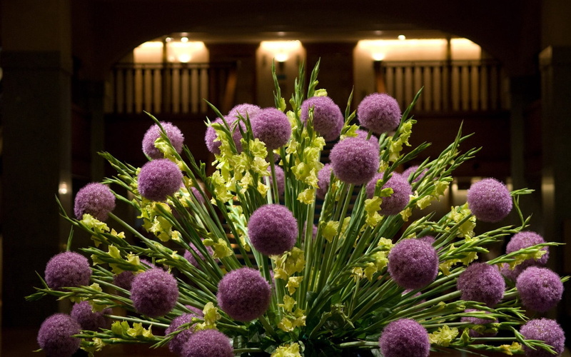 green Color, indoors, fragility, bouquet, no People, color Image, freshness, decoration, gladiolus, purple, centerpiece, flowers, flowering plant, flower