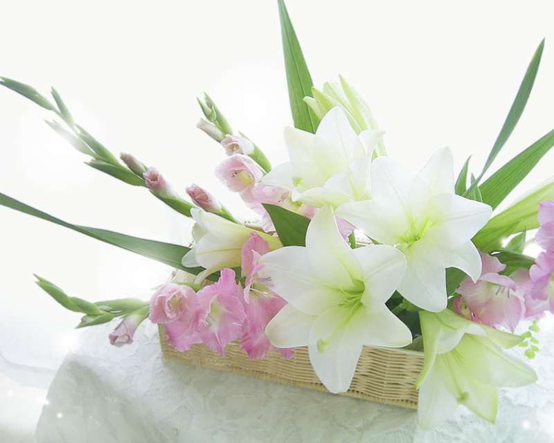 flowering plant, springtime, elegance, purple, frangipani, romance, blossom, summer, fragility, flower arrangement, leaf, flower, no people, white, plant part