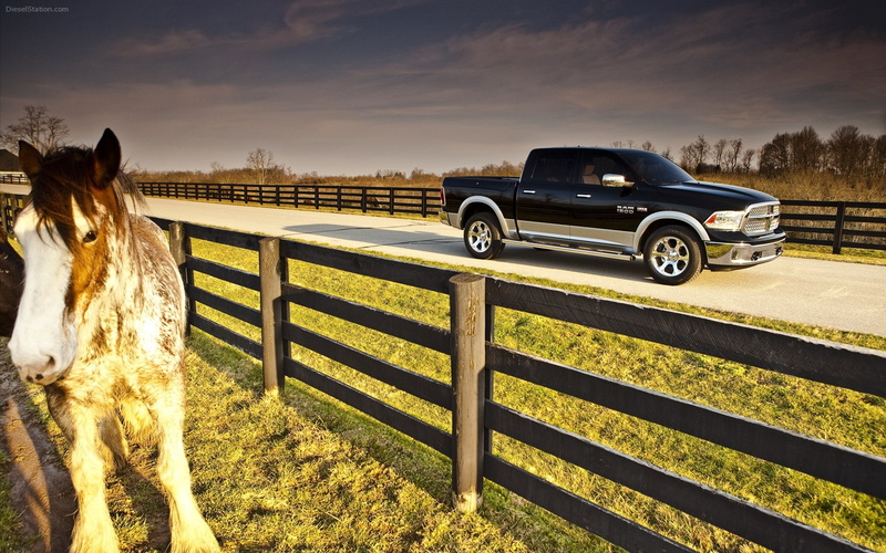 vertebrate, boundary, land, horse, herbivorous, ranch, car, domestic, animal, sky, livestock, animal themes, one animal, fence, paddock, domestic animals