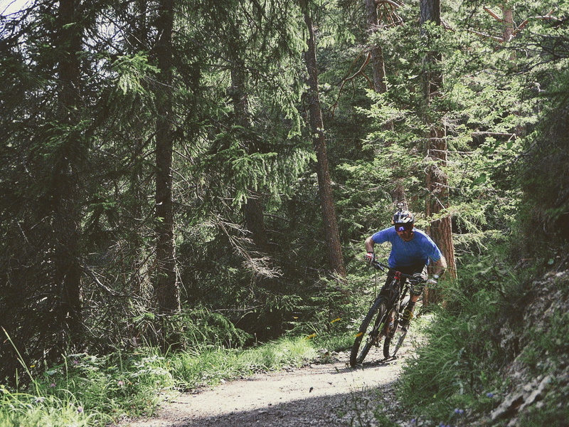 real people, outdoors, adventures, leisure activity, growth, nature, woodland, bicycle, activity, tree, plant, land vehicle, outdoor, transportation, ride