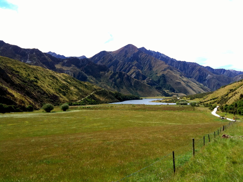 hill, summer, Zealand  mountain, white sky, green Color, mountain, white, grass, moke lake, sky, mountain biking, New Zealand, queenstown, meadow, nz, com