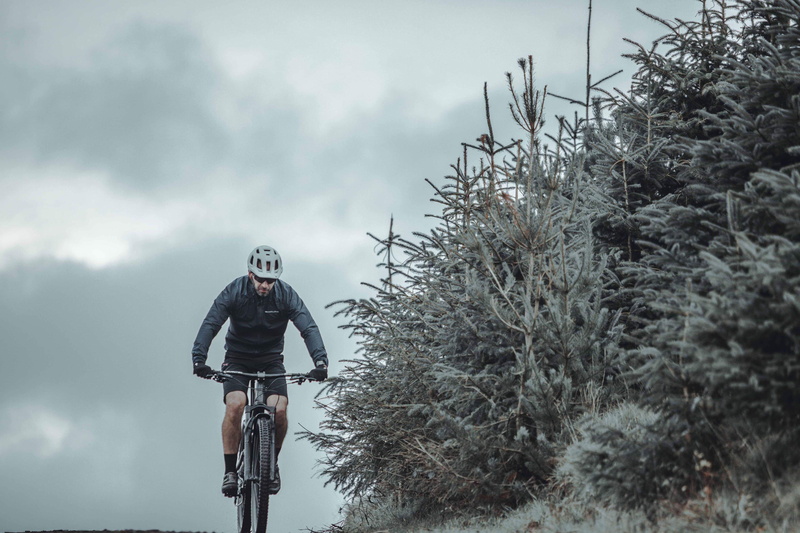 green, abies, bicycle, mountain bike, snow, casual clothing, riding, one person, sky, rear view, trees, wheel, bike, winter, beside, men, human, tree, growth