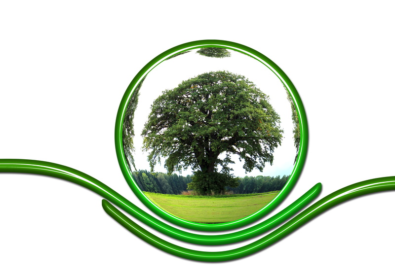 environment, plant, close-up, cut out, globe, still life, responsibility, herbal medicine, green tree, global, geometric shape, healthcare and medicine