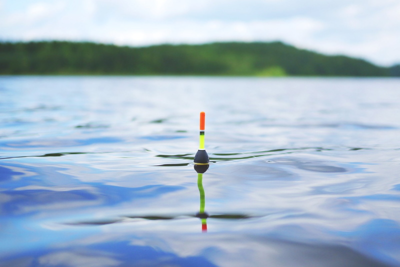 Sport, Reflection, 1080P, Sports, Fishing, Lake, Bobber