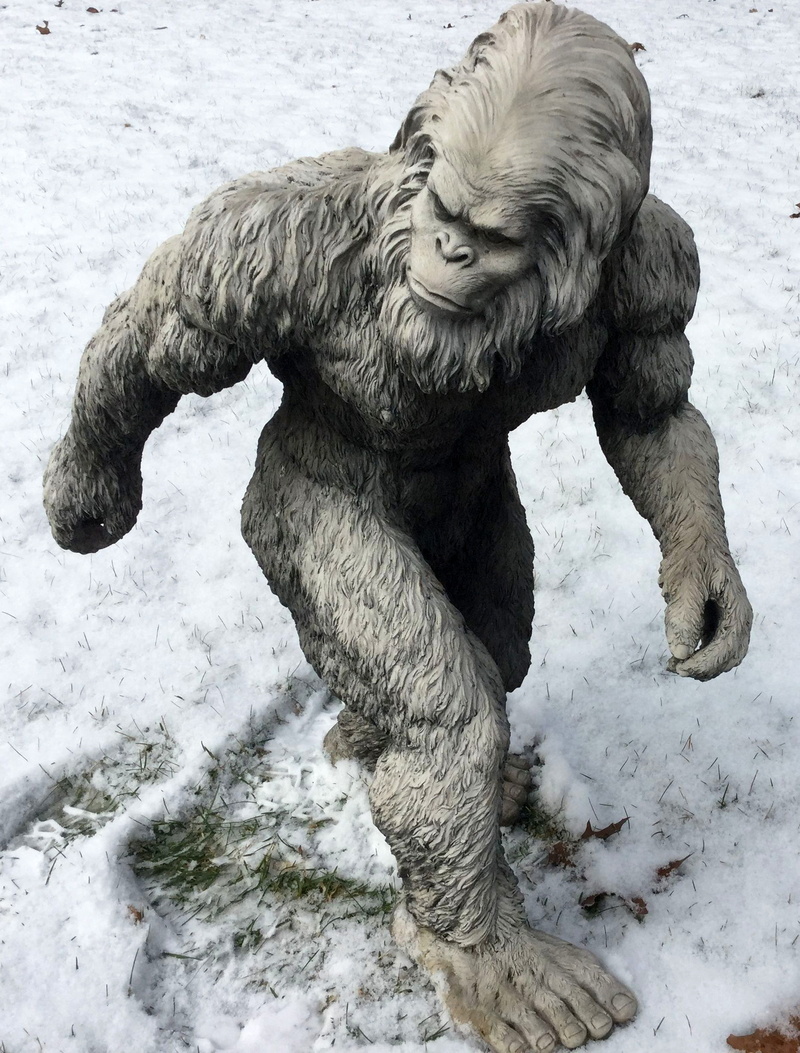 land, abominable snowman, bigfoot, illustration, domestic, yeti, animal themes, sasquatch, animal, cuyahoga falls, day, pets, frozen, winter, covering