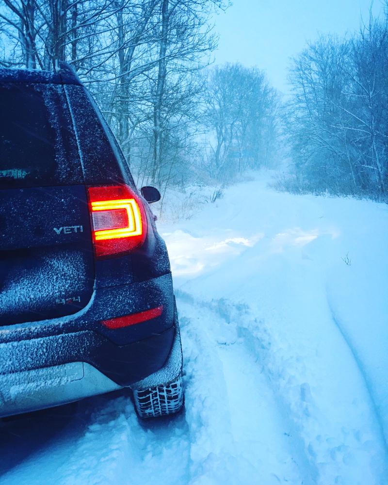 land vehicle, bare tree, light, no people, snowing, 4x4, day, frozen, red, yeti, cold temperature, transportation, snow, outdoors, covering, snowcapped mountain