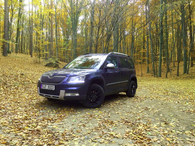 land, leaves, nature, outdoors, car, plant part, škoda yeti, leaf, blue, land vehicle, autumn, tree, suv, 4x4, change, transportation, no people, growth