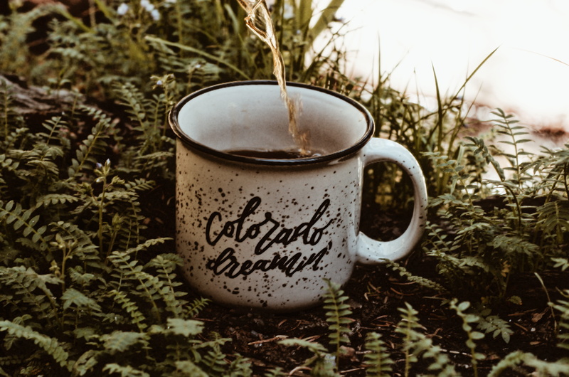 mug, close-up, outdoors, camping, food and drink, tree, plants, day, pouring, drink, food, fern, floral pattern, hot drink, western script, beverage, freshness