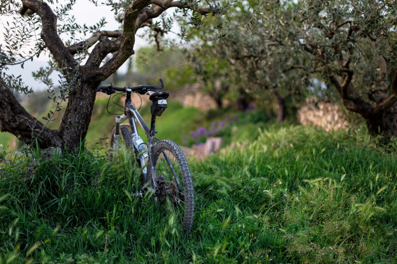 outdoors, mode of transportation, green Color, land, tree, day, sport, black, exercising, nature, park - Man Made Space, lifestyles, land vehicle, leisure Activity