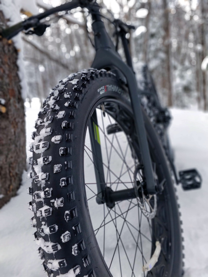 leaning, covered, 4K, black, tire, winter, nature, spoke, close-up, bike, field, stationary, tree, land vehicle, plant, mode of transportation, cold temperature