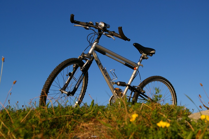 away, plant, sunlight, mature, nature, travel, two wheeled vehicle, wheel, break, means of transport, land vehicle, tire, handlebars, field, outdoors, cycling