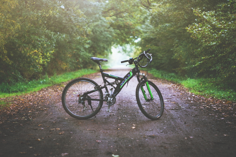 sport, forest, country, footpath, hardtail, mountain biking, adventure, nature, transportation, land vehicle, green color, full, outdoors, tree, wet, stationary