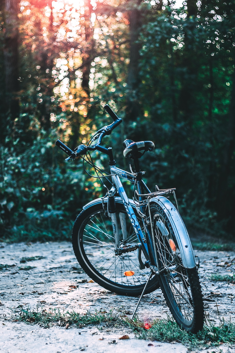 parking, bicycle, trees, mountain bike, stationary, sidewalk, transportation, 5K, growth, blue, leaf, nature, plants, parked, forest, land, green, near