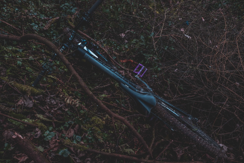 dry, land, animal, non-urban scene, outdoors, branch, Mountain bike, growth, tranquility, metal, nature, bicycle, vegetation, close-up, transportation