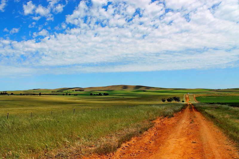 landscape, non-urban scene, nature, australia, day, the way forward, agriculture, south australia, outdoors, burra, track, cloud - sky, land, environment