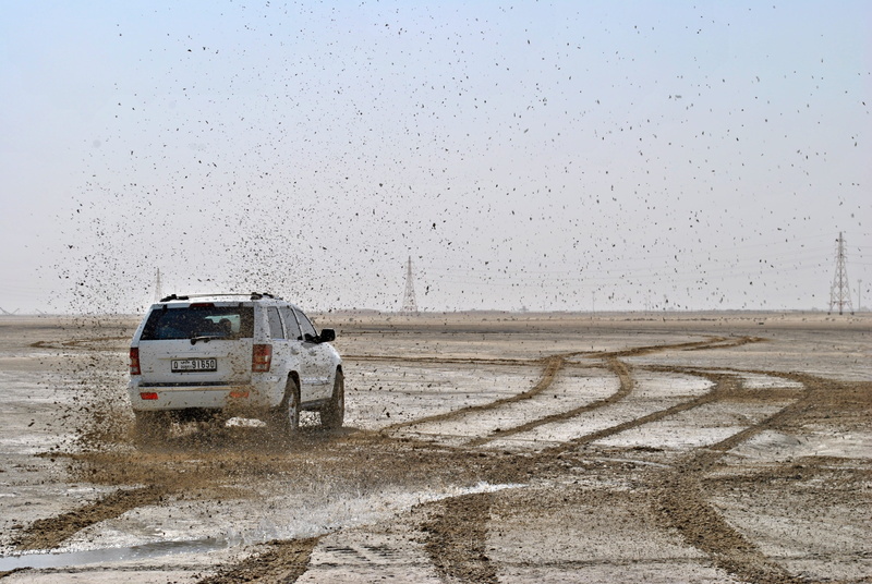 mode of transportation, transportation, dirt, tracks, day, photo, muddy, soil, motion, vehicle, nature, land, sand, land vehicle, water, white, environment