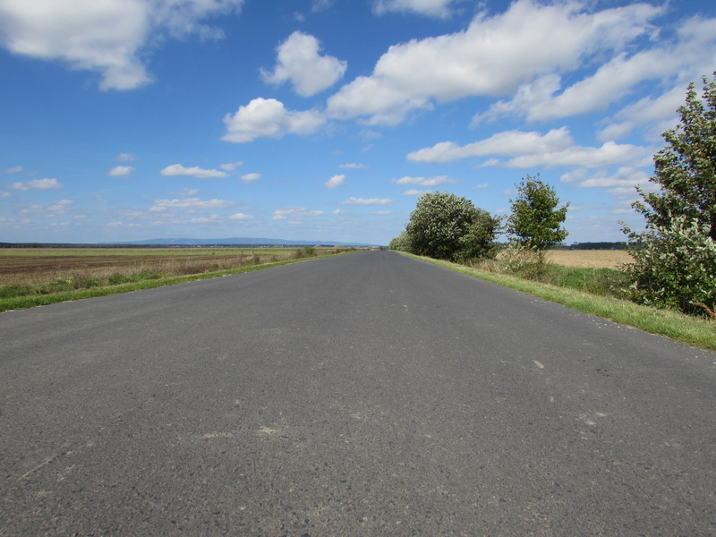 tree, cloud - sky, sign, sky, tranquil scene, environment, asphalt, 4K, dividing line, road, tranquility, plant, empty road, dirt track, country road