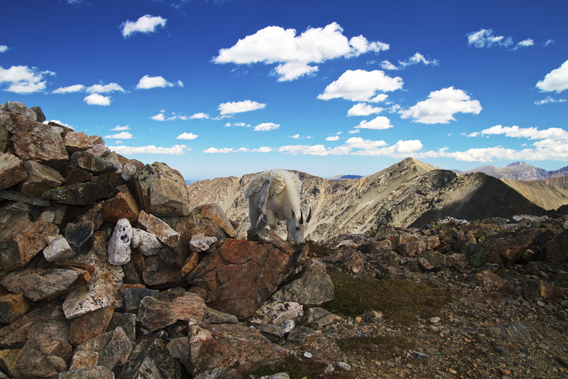 rocky, nature, rock - Object, view, landscape, blue, 5K, Munchies, summer, daytime, sky, Torreys  peak, canon  eos  7d, mountain, cloudy, canon 7d, top