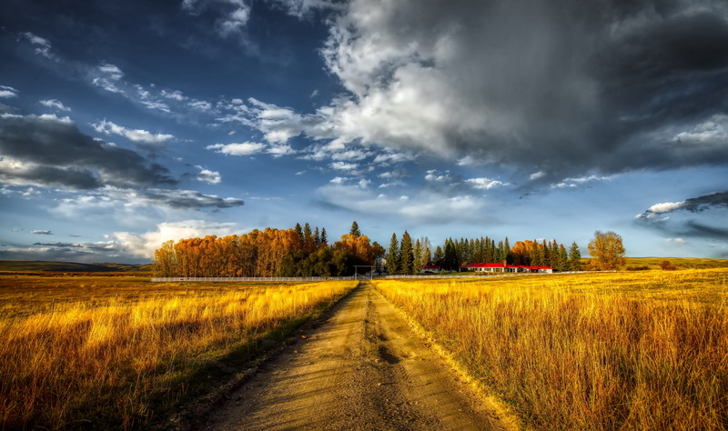 grass, colorado, ranch, autumn, the way forward, fall, tranquil scene, farm, hdr, tree, trees, agriculture, landscape, barn, rural scene, sunset, diminishing perspective