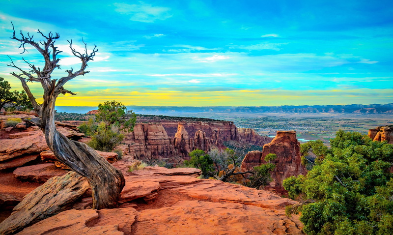 canyon, trees, colorado, rocks, monument, sunset, landscape, mountains, 4K