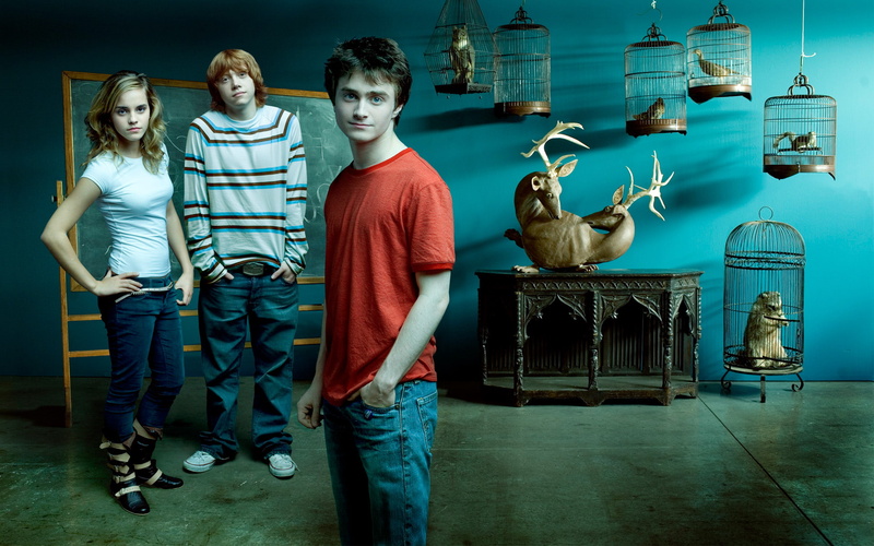 watson, harry, emma, hd, cast, movie, 1080P, celebrities, potter, with, crew, wide