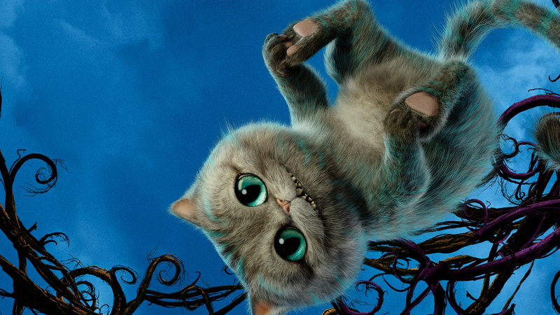 2016 Movies, 8K, Alice Through the Looking Glass, Cheshire Cat