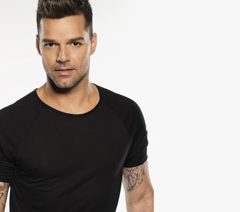 4K, men, Ricky Martin, look, singer