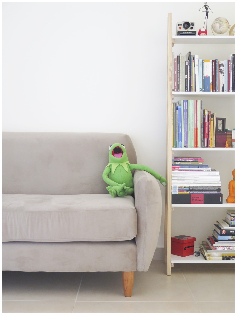 4K, home, living room, green, home showcase interior, bookshelf, sofa, shelf, domestic room, relaxation, flooring, kermit, green color, no people, home interior