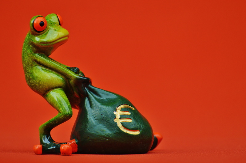 no people, euro, representation, funny, empire, colored background, food and drink, 5K, money soothes, bag, reptile, days wealthy, pulling, indoors, money
