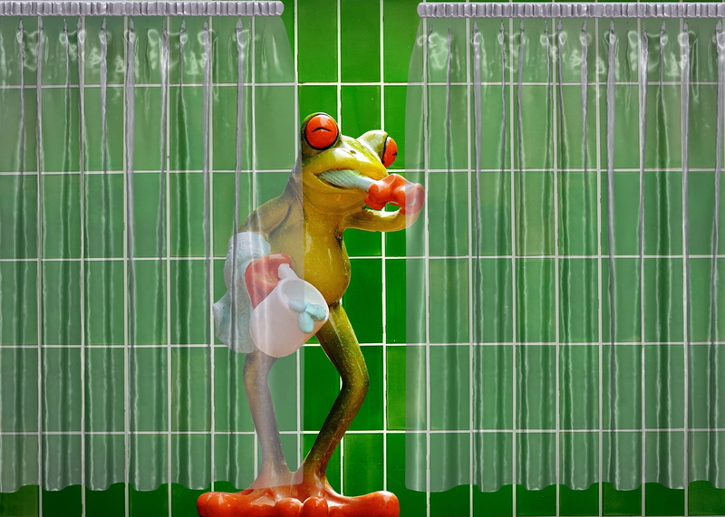 1080P, close-up, domestic animals, food, green color, plastic, frogs, vertebrate, swim, representation, bathroom, toy, food and drink, green, sweet, body care