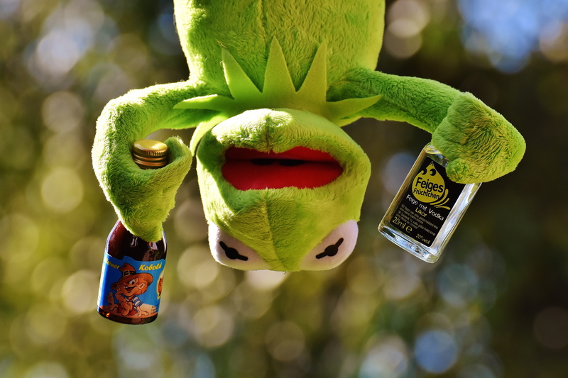 drink, fun, representation, hang out, frogs, soft toy, close-up, funny, drunk, nature, toy, kermit, bottles, focus on foreground, stuffed animal, reptile