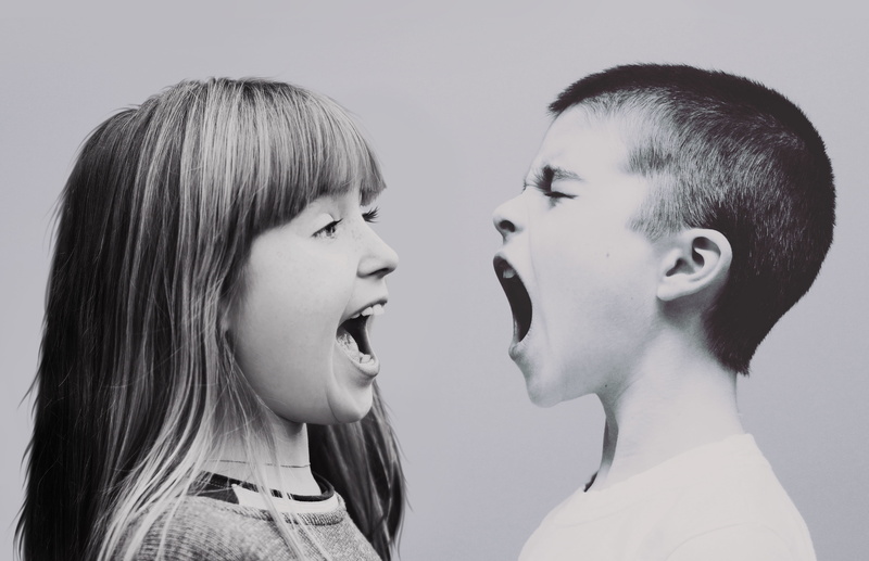 brothers and sisters, people, portrait, studio shot, rage, discussion, emotion, cry, childrens education, family, argue, human, education, two people, young adult
