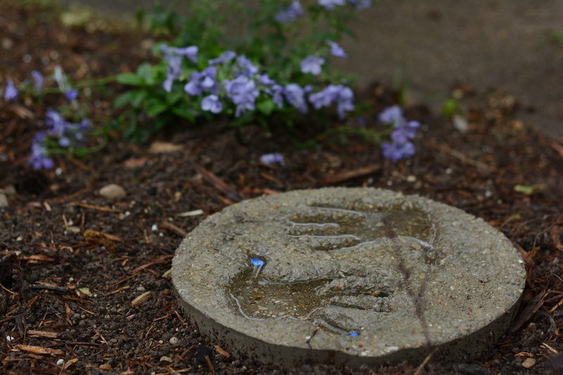 flowers, dirt, pollution, cement, love, decor, neighborhood, field, stepping stone, shape, solid, son, metal, flower, gray, handprint, rock, nature, puddle