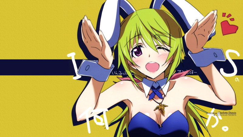 infinite, charlotte, 1080P, bunny, ears, dunois, bunnygirl, stratos