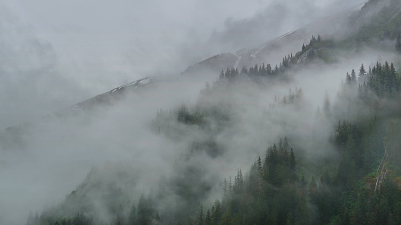 mist, Tracy Arm, clouds, Alaska, forest, 4K