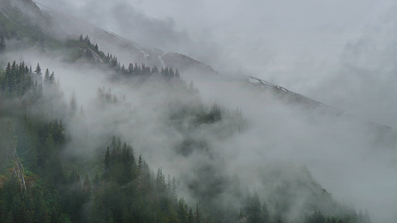 clouds, 4K, Alaska, mist, Tracy Arm, forest