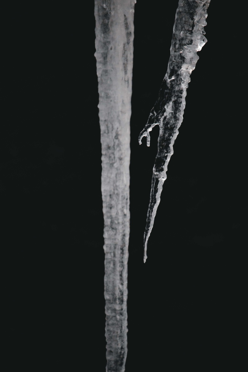 close-up, copy space, christmas, icicle, new year, sharp, black background, tracy city, cold temperature, fiery gizzard road, dark, tranquility, united states