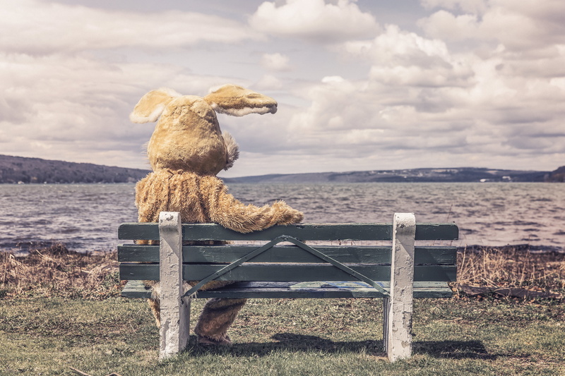 brown, non-urban scene, stuffed toy, suit, bear, tranquility, beach, river, autumn, no People, seat, grass, shade, tranquil scene, costume, summer, wood - Material